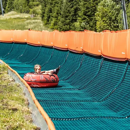 Apartment In Zillertal Near Spieljochbahn *