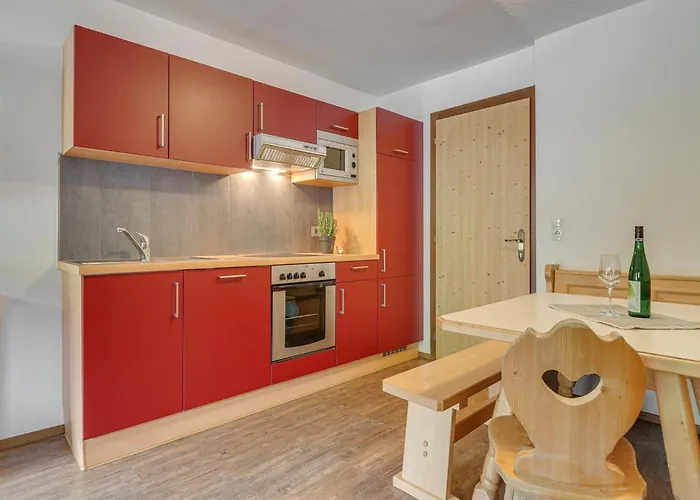 In Zillertal Near Spieljochbahn 公寓 *